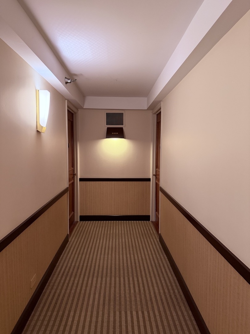 401 E Ontario Street #3010, Chicago, IL 60611