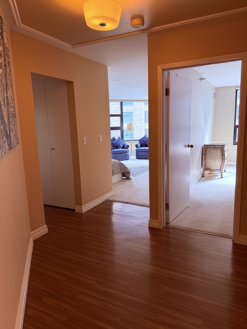 401 E Ontario Street #3010, Chicago, IL 60611