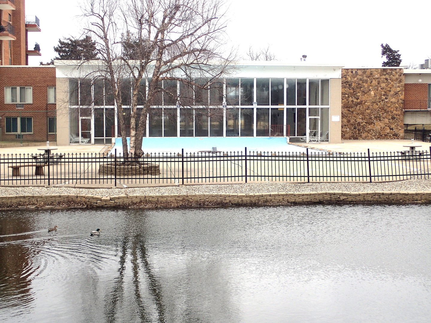 18 E Old Willow Road #535N, Prospect Heights, IL 60070