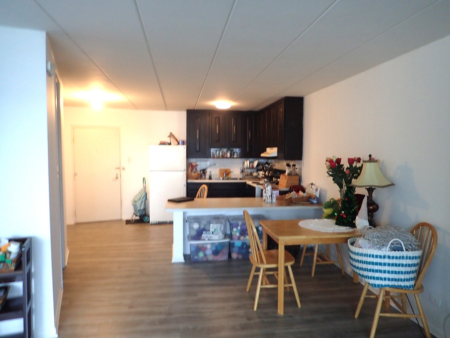 18 E Old Willow Road #535N, Prospect Heights, IL 60070