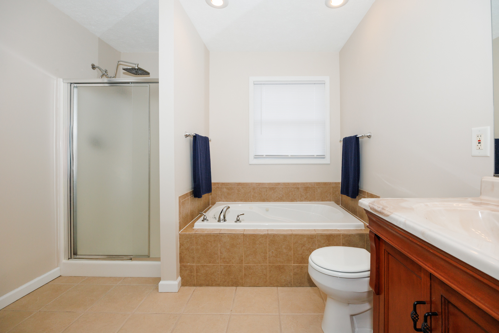 117 White Tail Street, Hudson, IL 61748