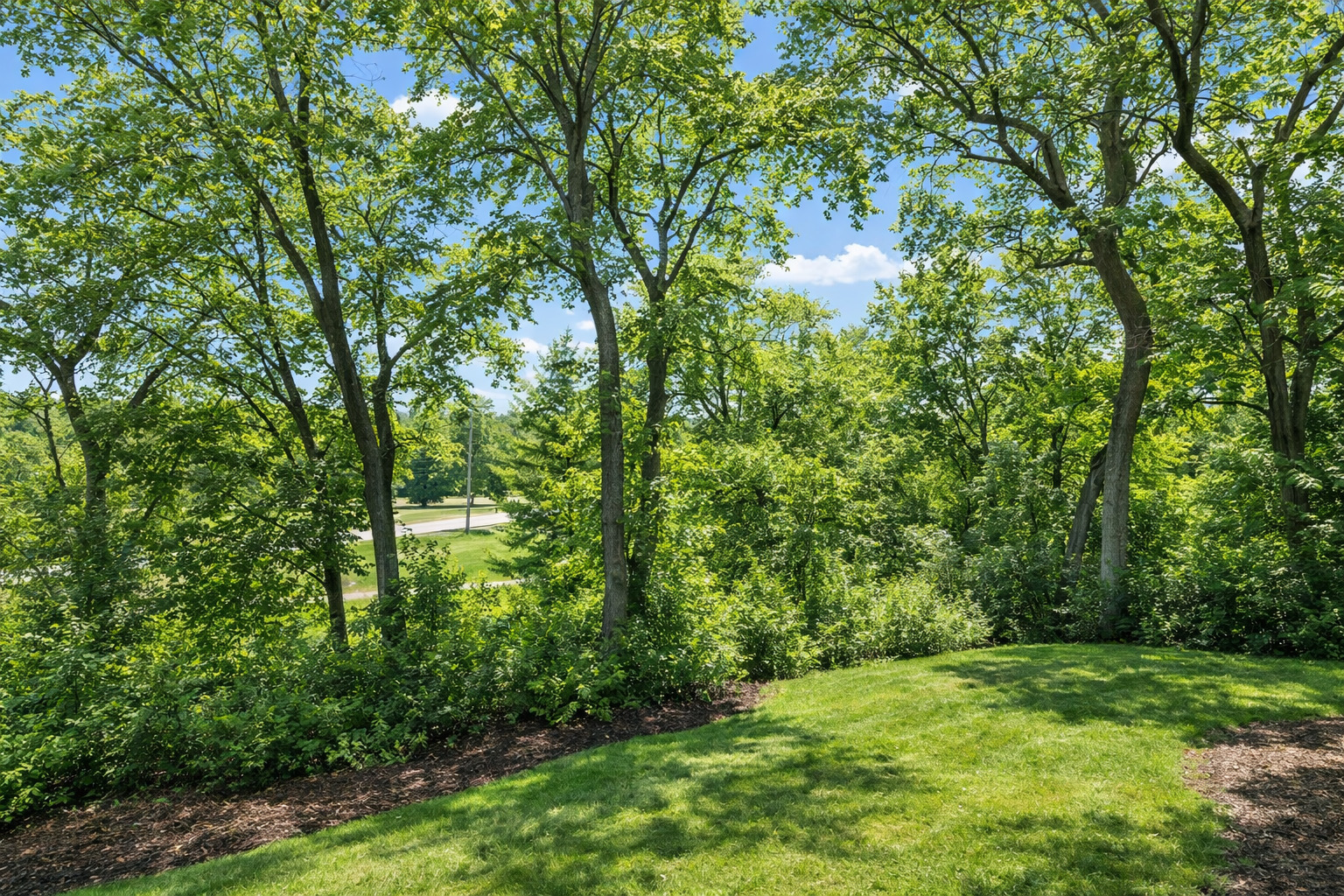 2431 Ogden Avenue #10, Downers Grove, IL 60515