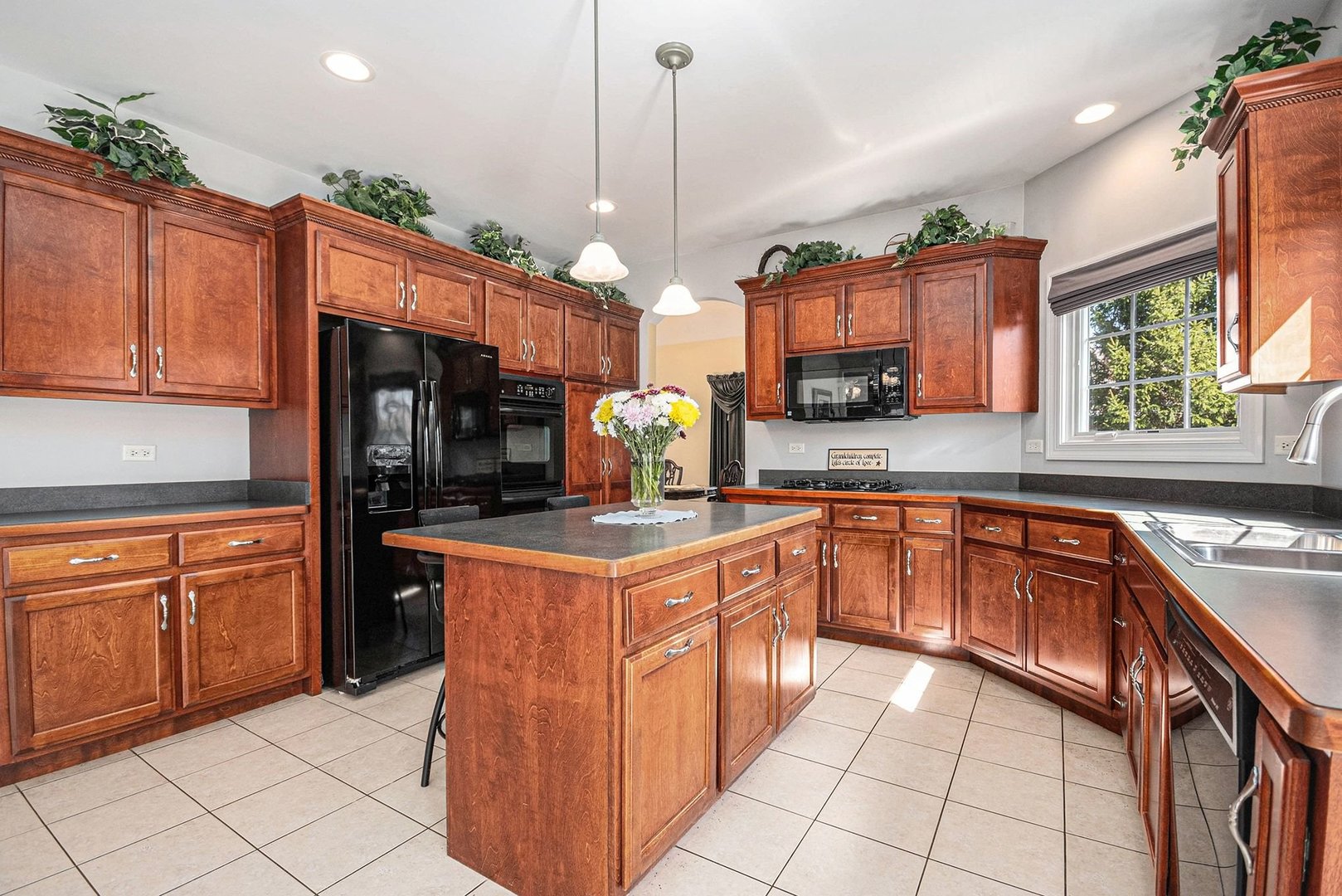 20118 W Pockey Way, Elwood, IL 60421