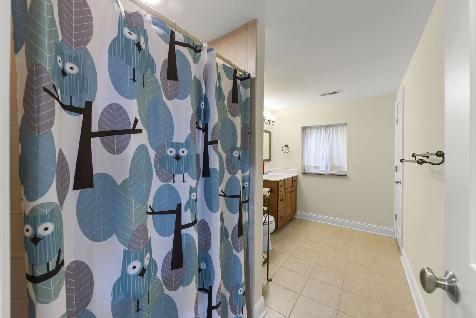 204 Amherst Circle, Oswego, IL 60543