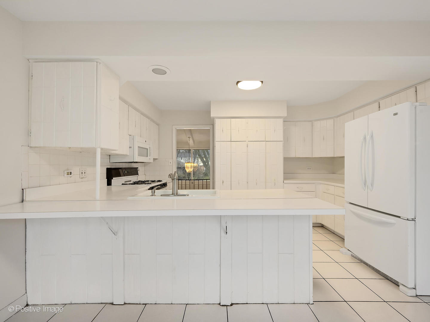 1117 Barberry Court, Downers Grove, IL 60515