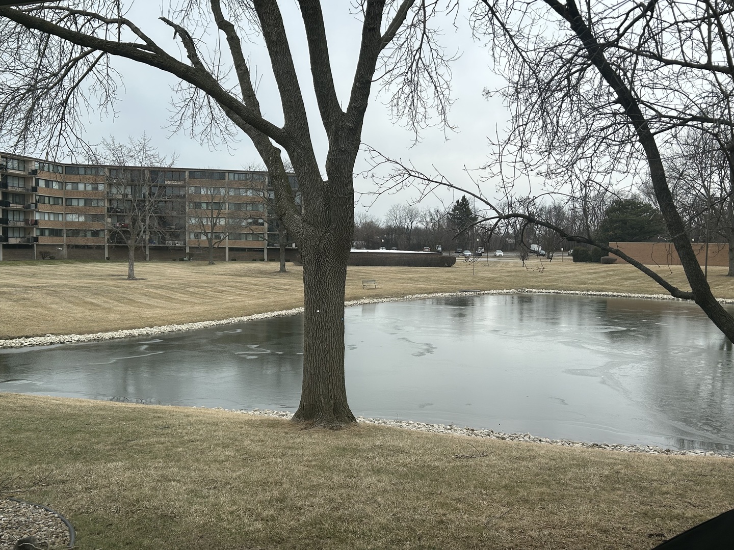 1252 Beechwood Court #1C, Schaumburg, IL 60193