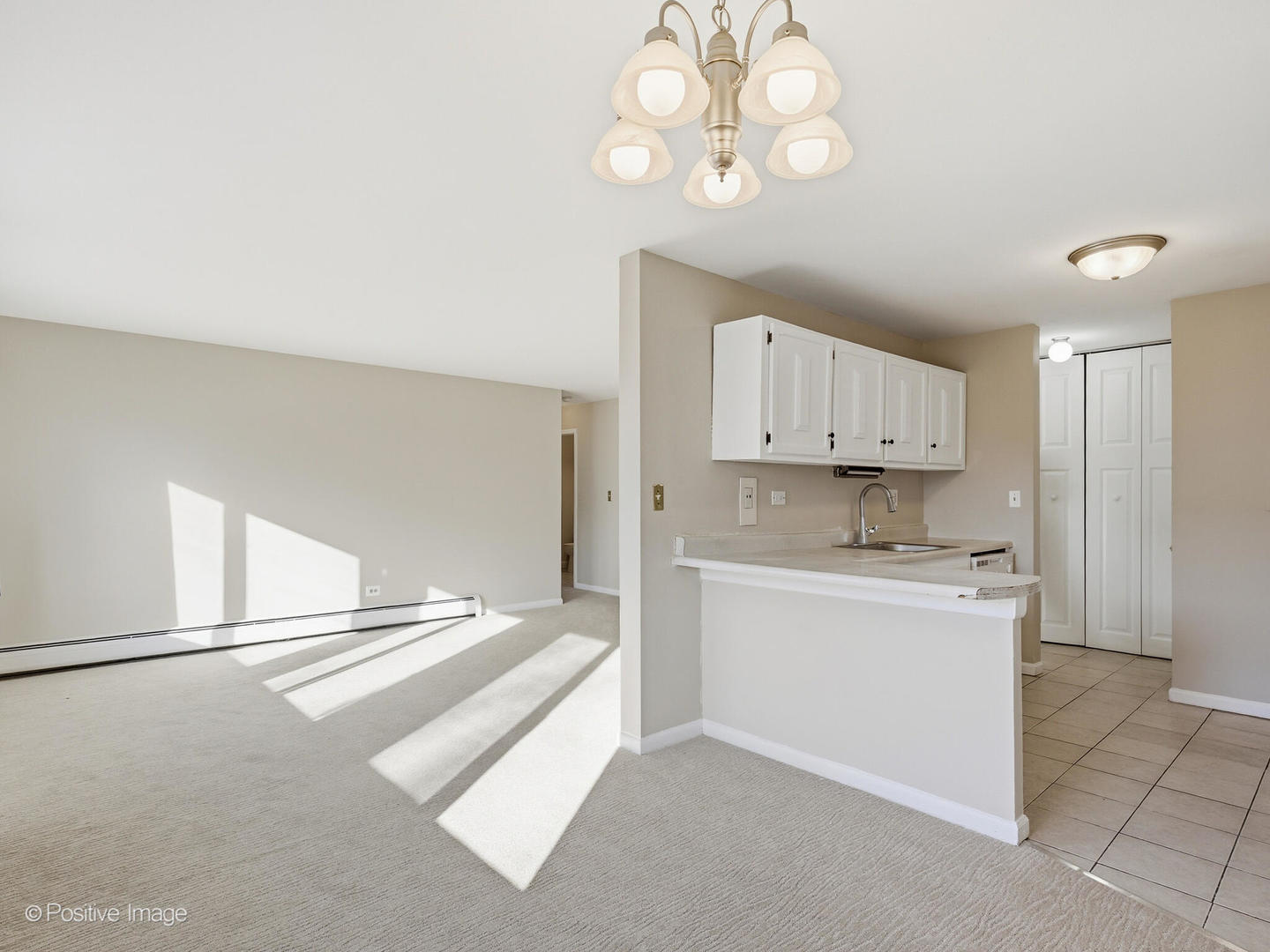 920 E Old Willow Road #203, Prospect Heights, IL 60070