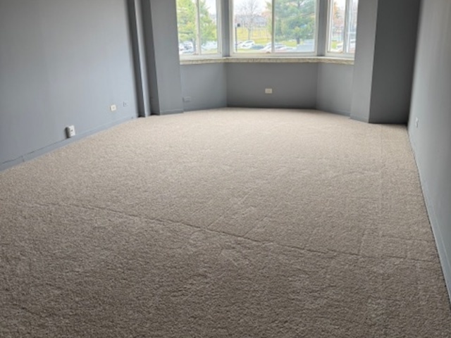 220 S Roselle Road #224, Schaumburg, IL 60193