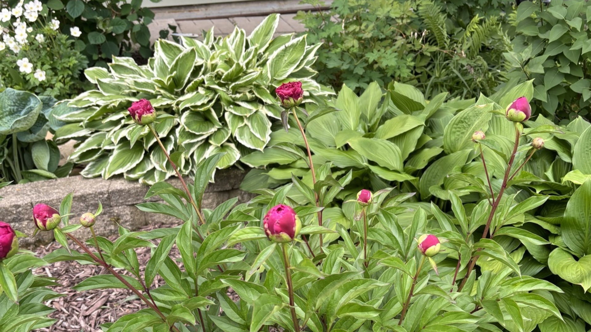 2713 Forest Glen Parkway, Woodridge, IL 60517