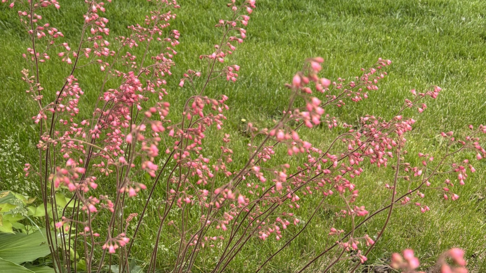 2713 Forest Glen Parkway, Woodridge, IL 60517