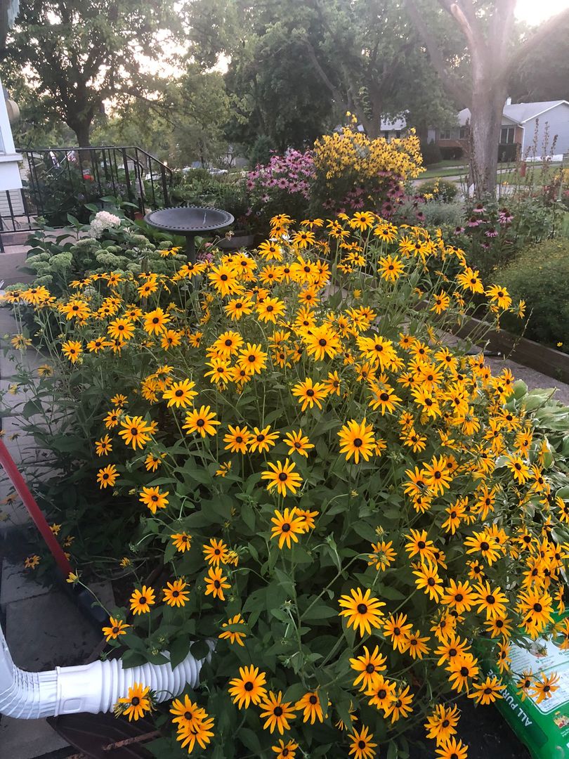 2713 Forest Glen Parkway, Woodridge, IL 60517