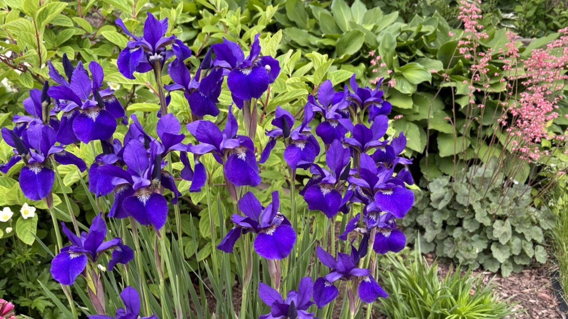 2713 Forest Glen Parkway, Woodridge, IL 60517