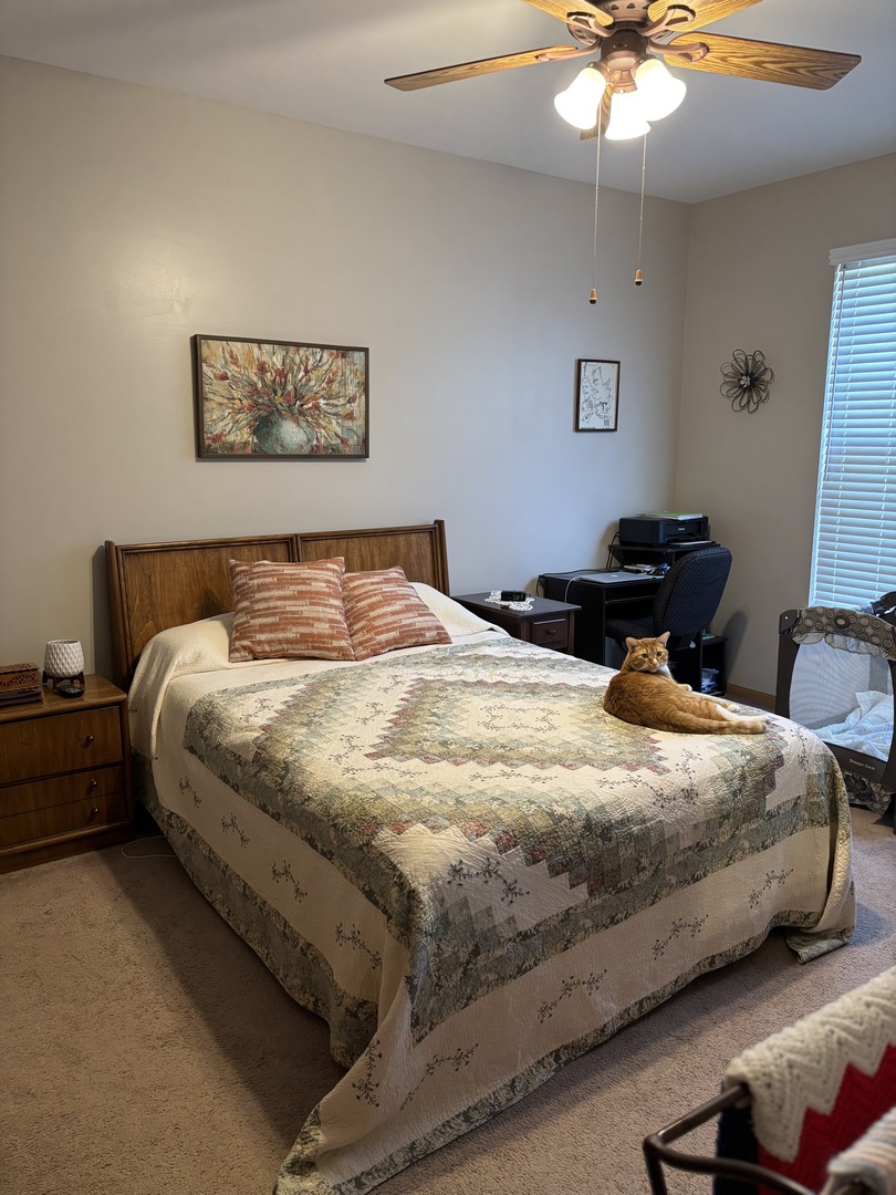 2929 Woodside Drive, Joliet, IL 60431