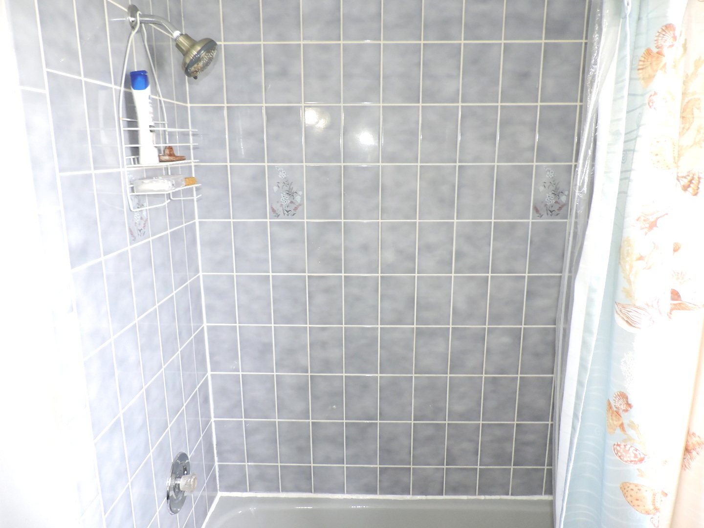 6931 Coachwood Trail, Tinley Park, IL 60477