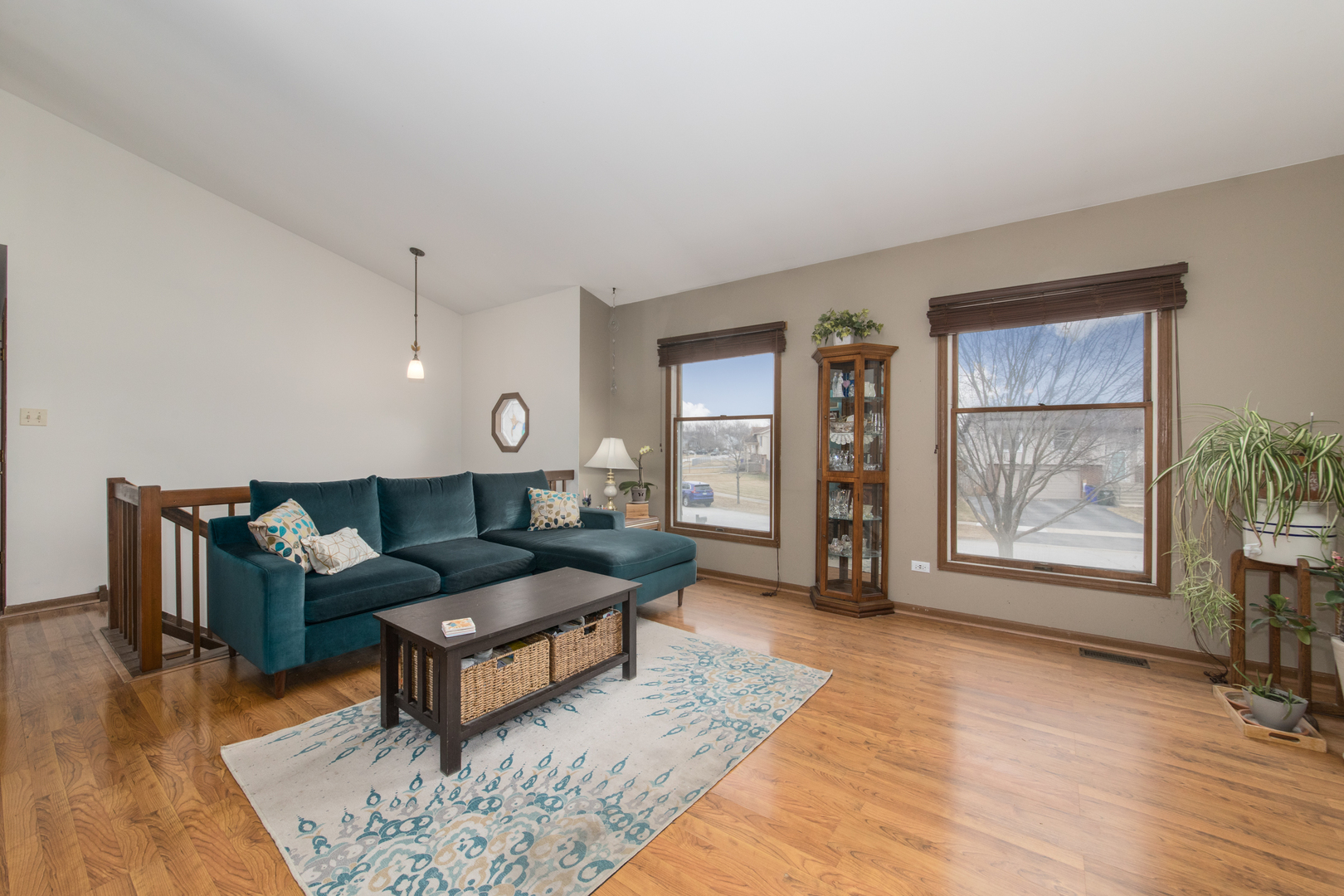 19905 S Mallory Drive, Frankfort, IL 60423