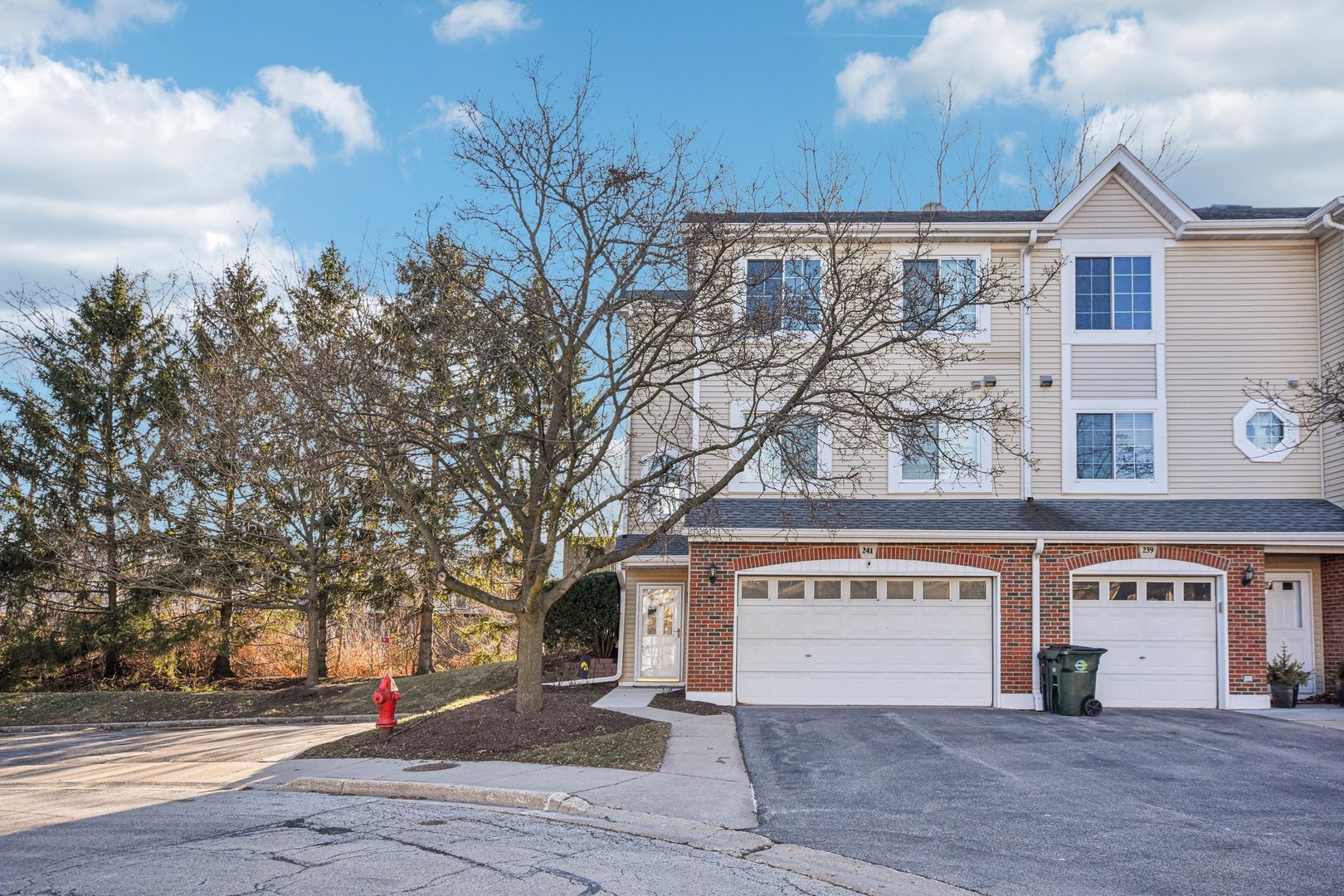 241 E Parallel Street #1A, Palatine, IL 60067