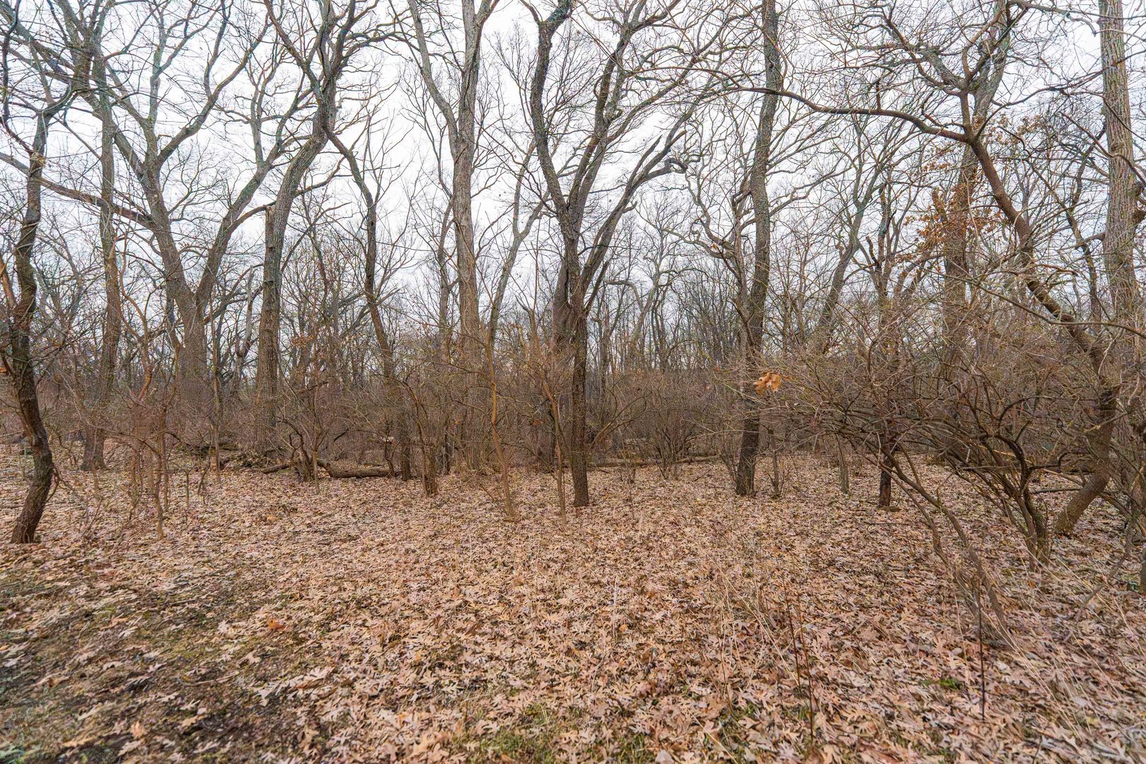 41W716 Hunters Hill Drive, St. Charles, IL 60175