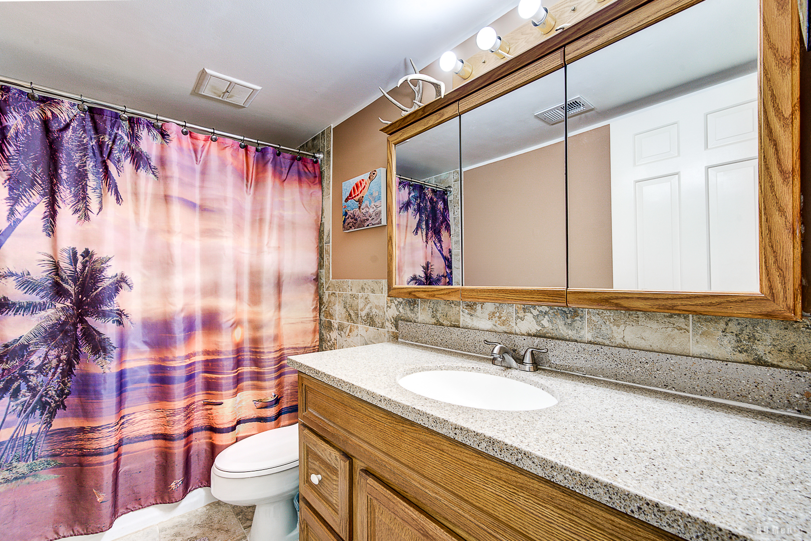 4114 W 99th Street #D, Oak Lawn, IL 60453