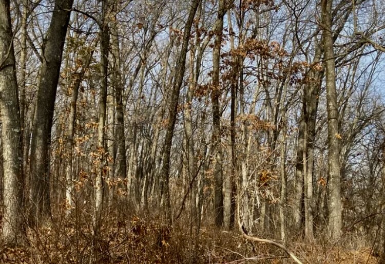 1489 E 2723rd Lane, Clayton, IL 62324