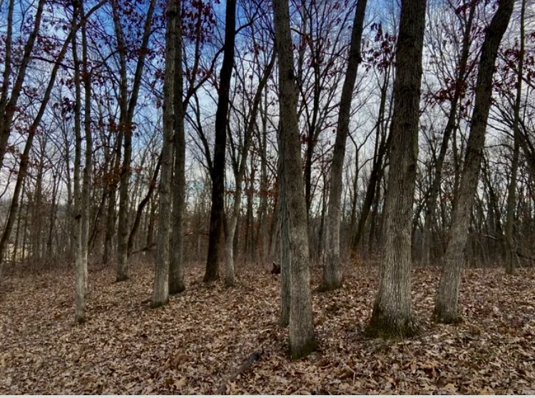 1489 E 2723rd Lane, Clayton, IL 62324