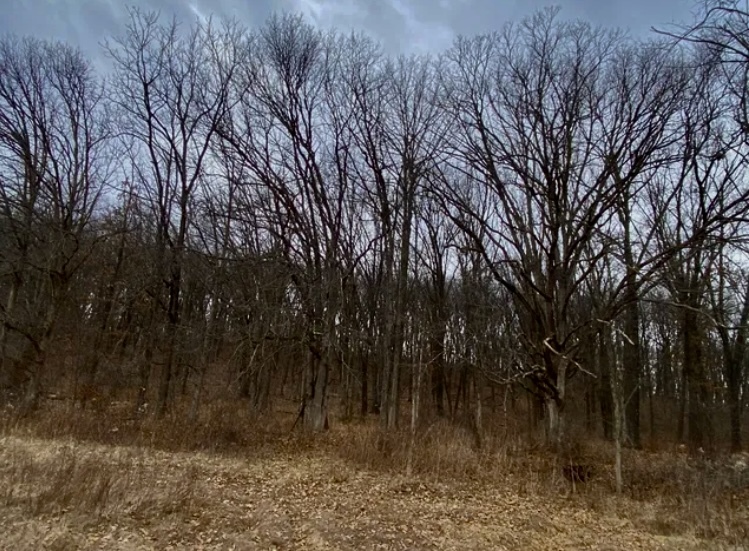 1489 E 2723rd Lane, Clayton, IL 62324