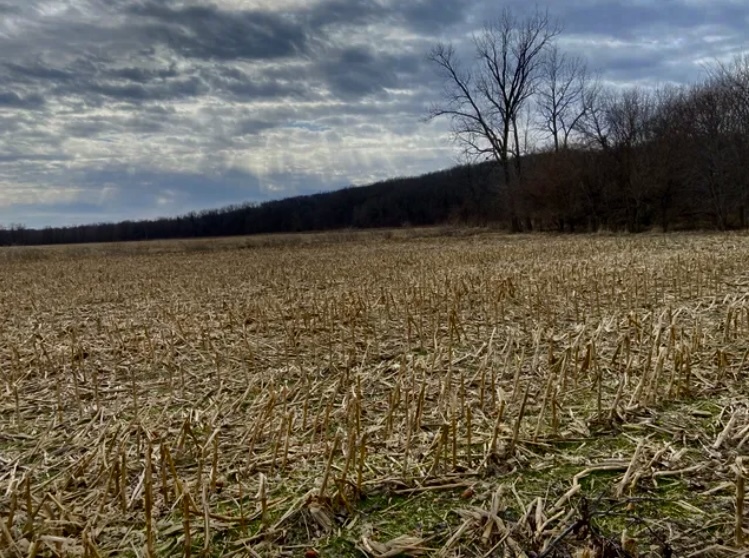 1489 E 2723rd Lane, Clayton, IL 62324