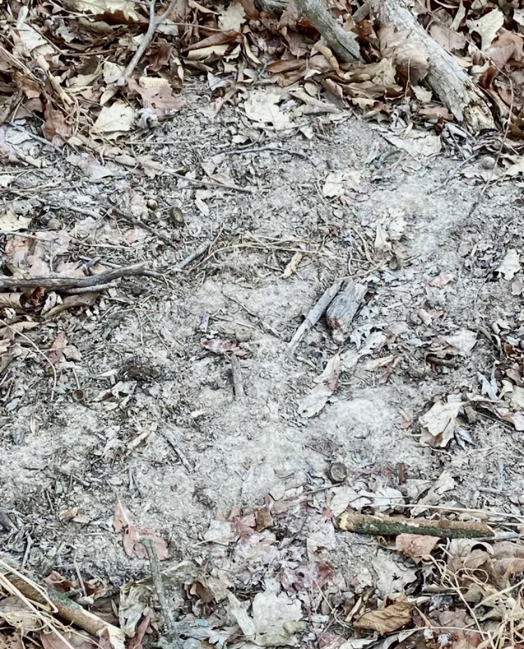 1489 E 2723rd Lane, Clayton, IL 62324