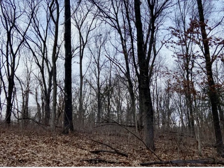 1489 E 2723rd Lane, Clayton, IL 62324