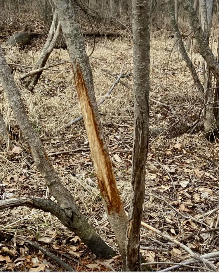 1489 E 2723rd Lane, Clayton, IL 62324