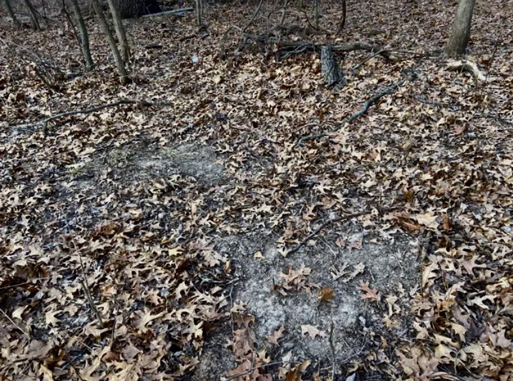 1489 E 2723rd Lane, Clayton, IL 62324