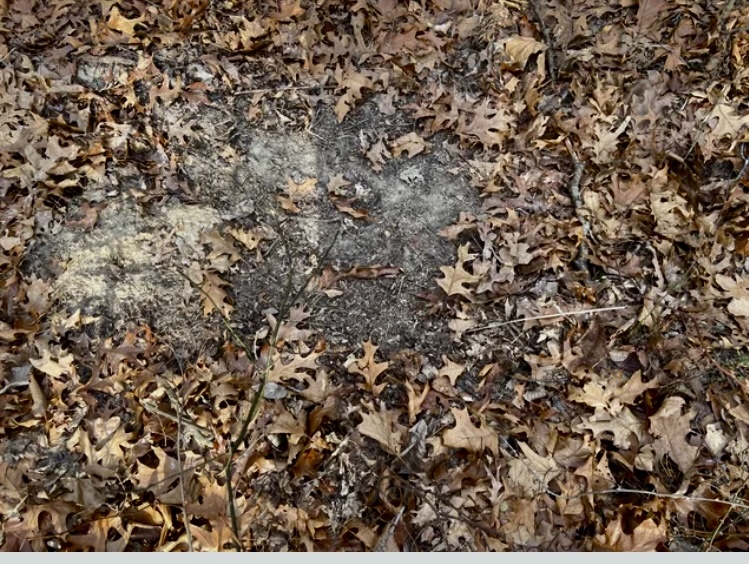 1489 E 2723rd Lane, Clayton, IL 62324