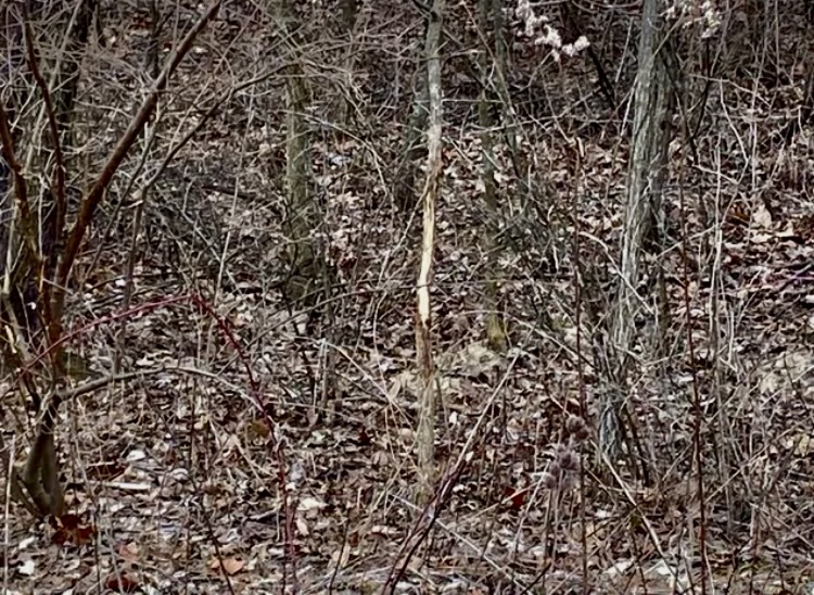 1489 E 2723rd Lane, Clayton, IL 62324