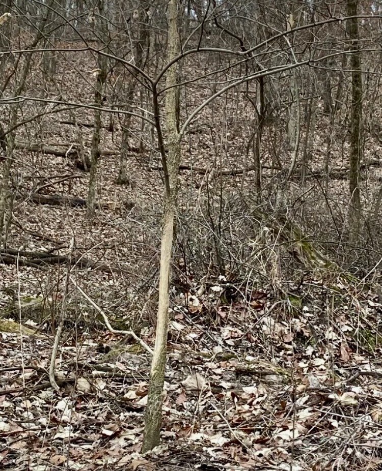 1489 E 2723rd Lane, Clayton, IL 62324