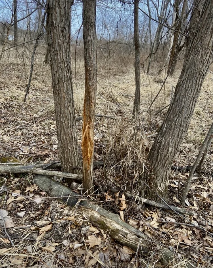 1489 E 2723rd Lane, Clayton, IL 62324