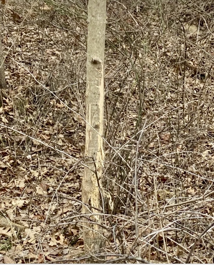 1489 E 2723rd Lane, Clayton, IL 62324