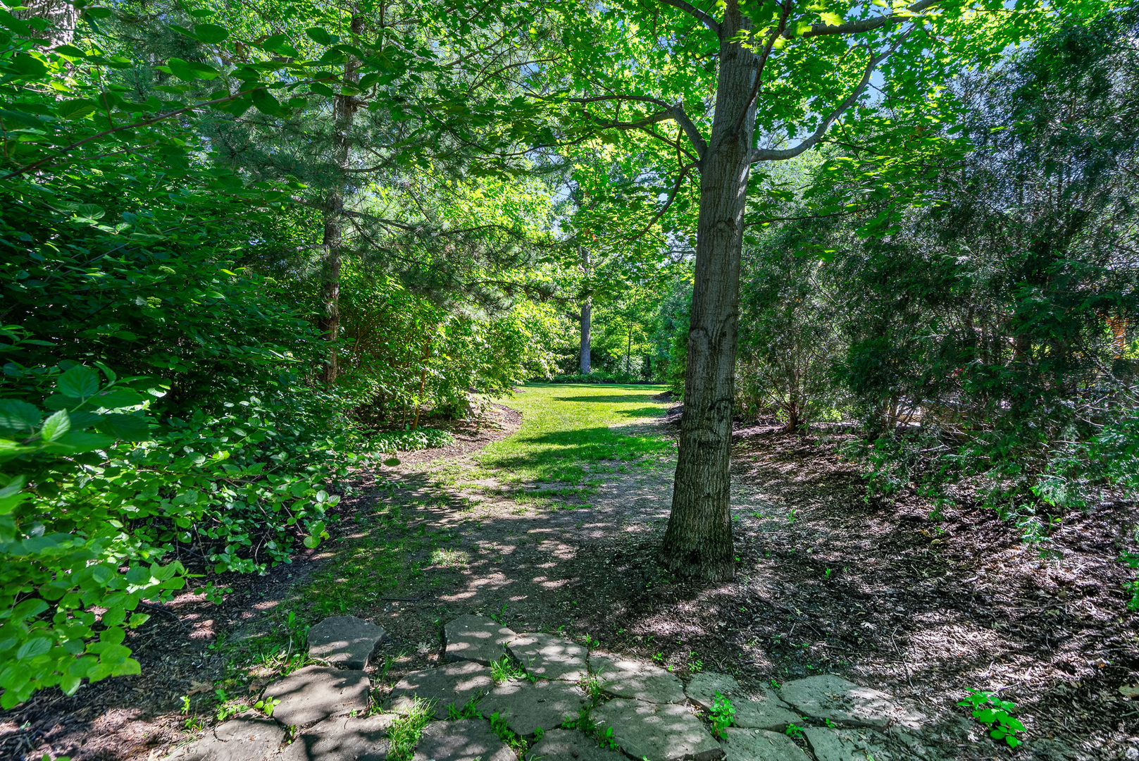 15641 W Stately Oaks Circle, Homer Glen, IL 60491