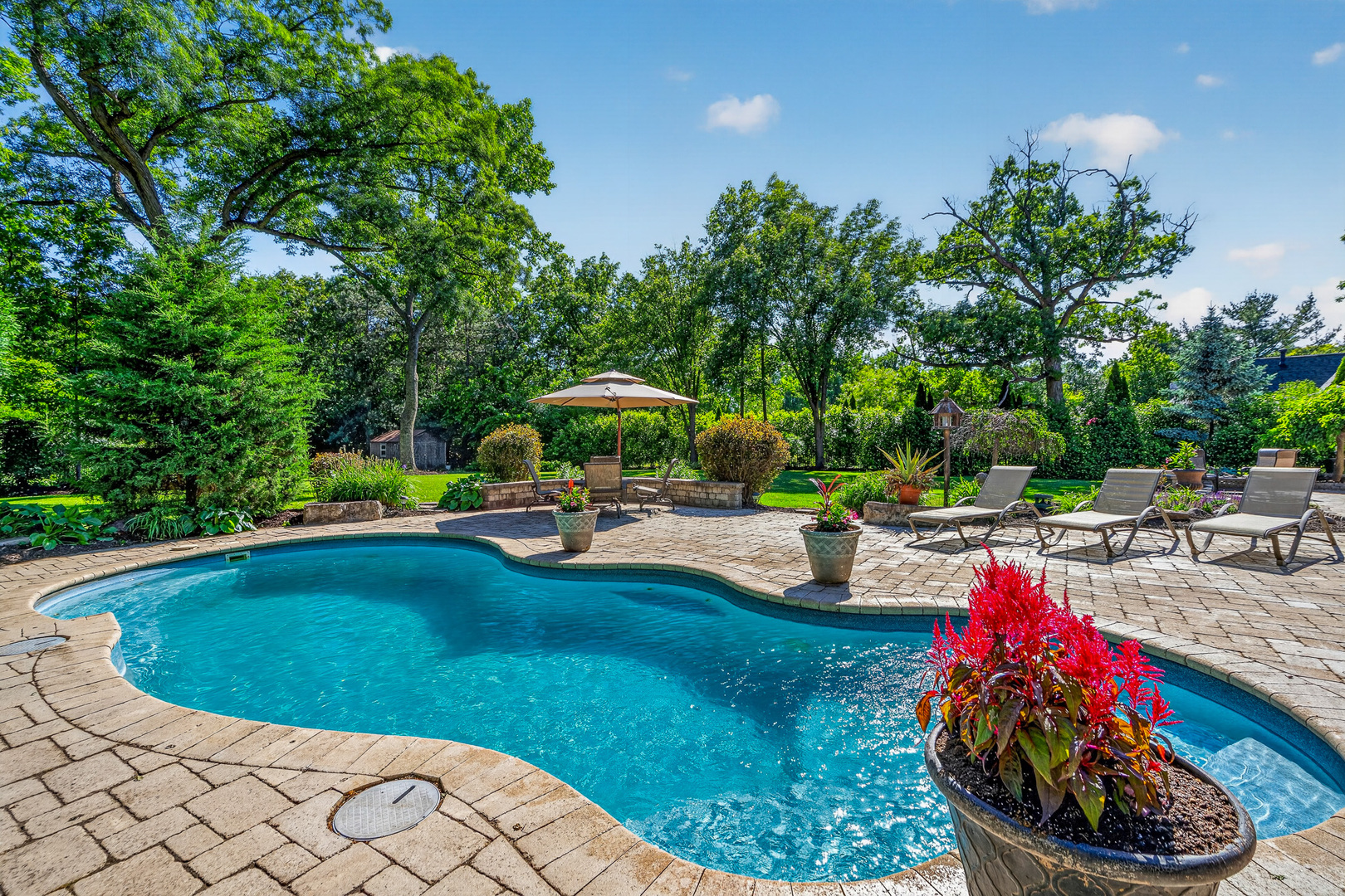 15641 W Stately Oaks Circle, Homer Glen, IL 60491