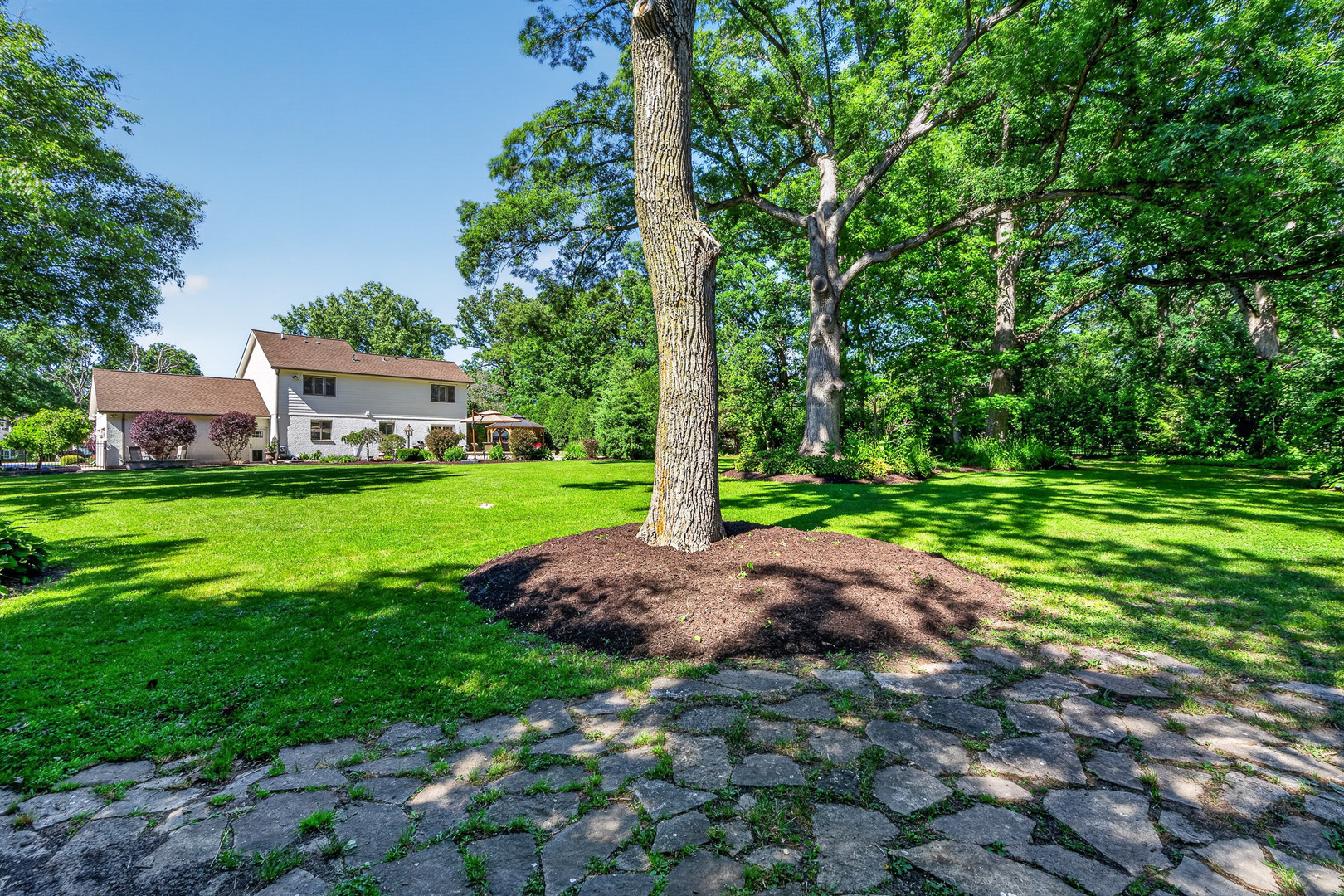 15641 W Stately Oaks Circle, Homer Glen, IL 60491