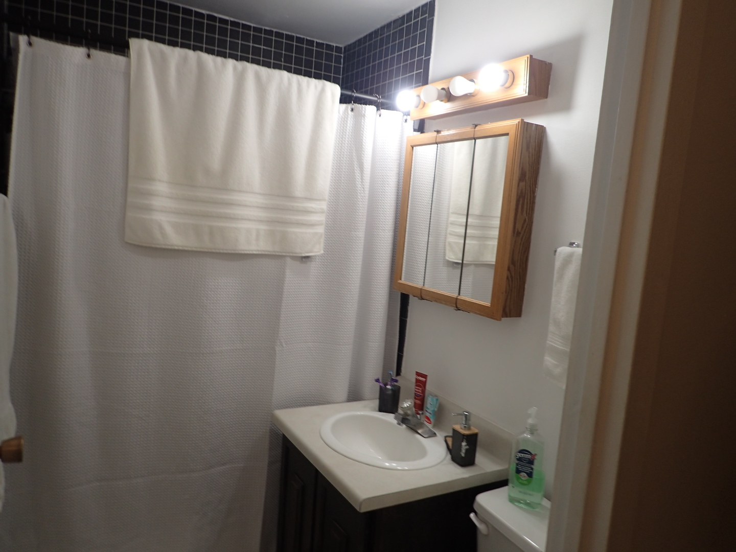 16 E Old Willow Road #435S, Prospect Heights, IL 60070