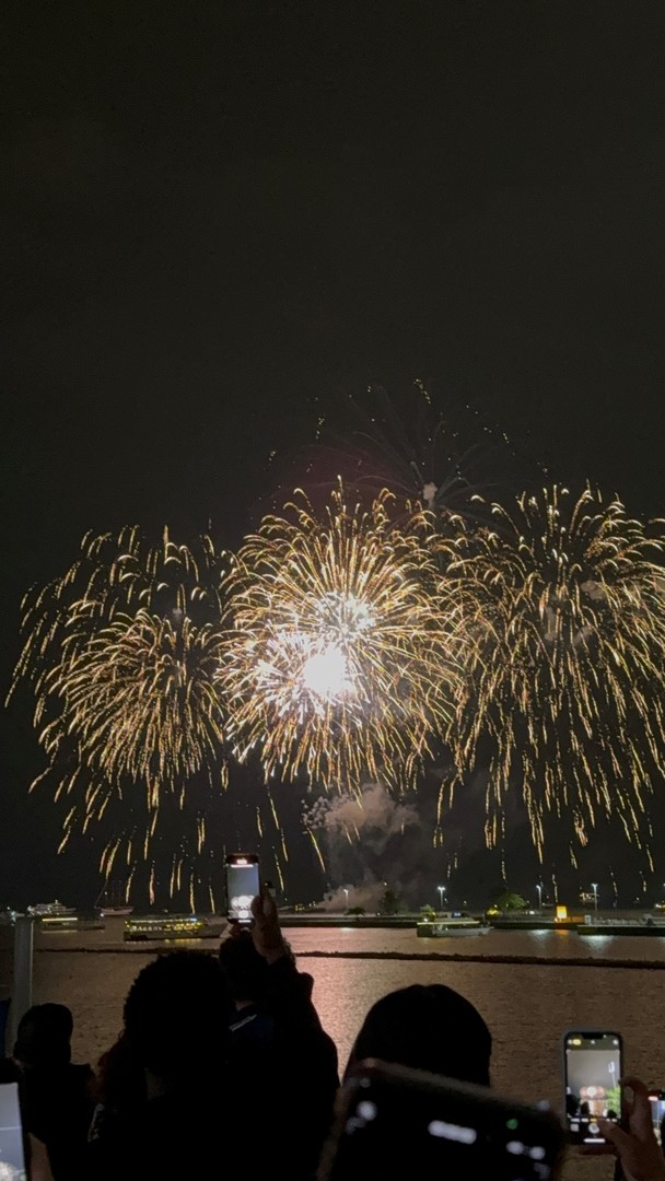 505 N Lake Shore Drive #2017, Chicago, IL 60611