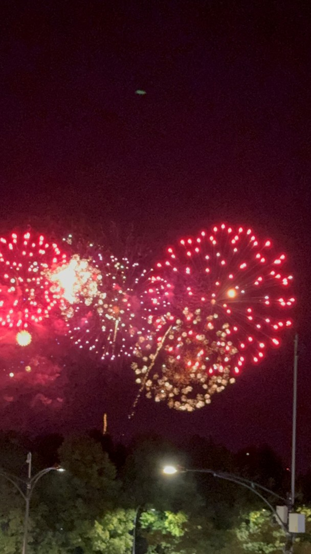 505 N Lake Shore Drive #2017, Chicago, IL 60611