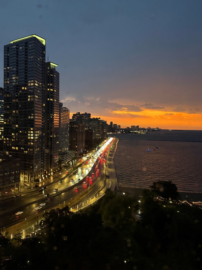 505 N Lake Shore Drive #2017, Chicago, IL 60611
