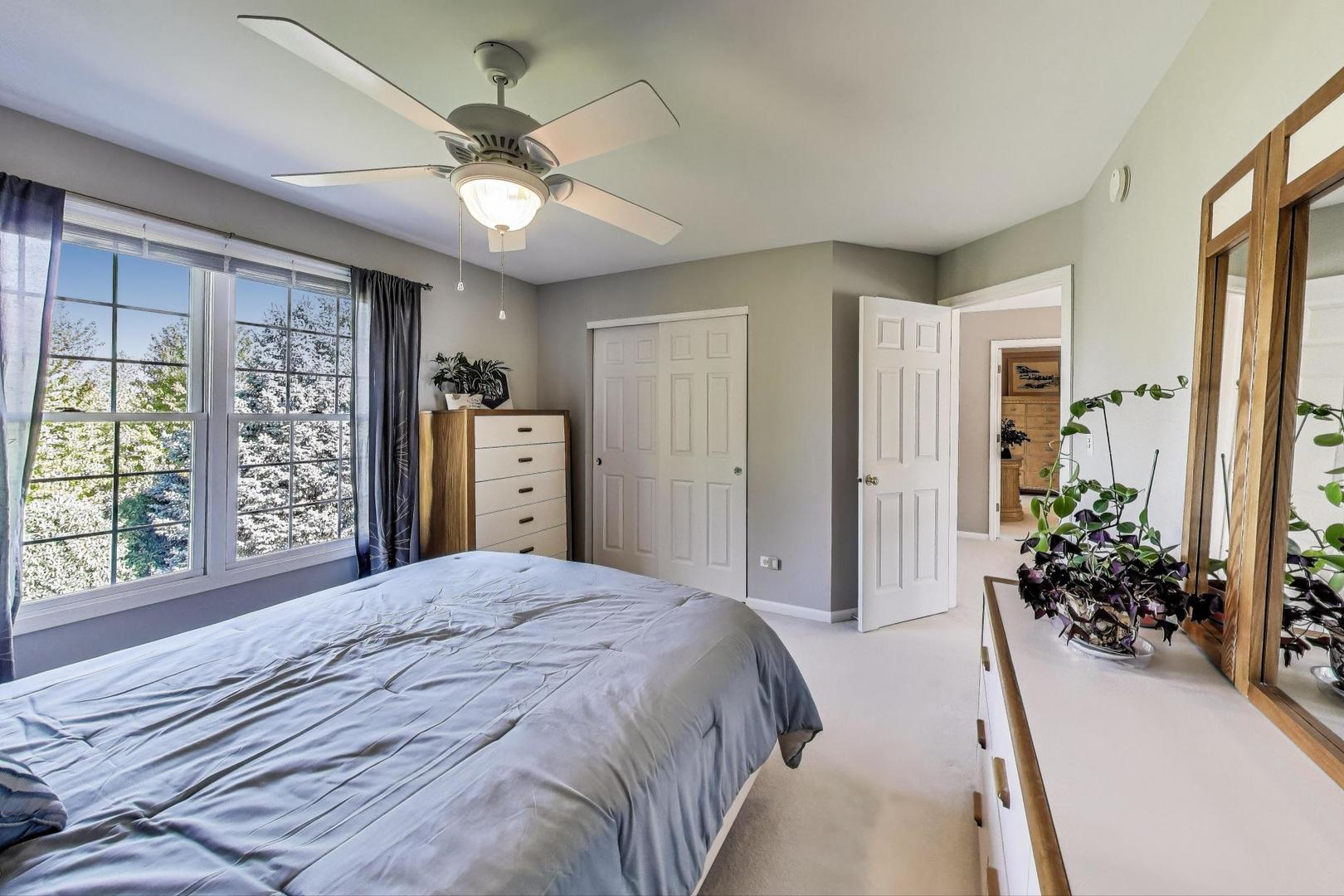 23058 Arbor Creek Drive, Plainfield, IL 60586