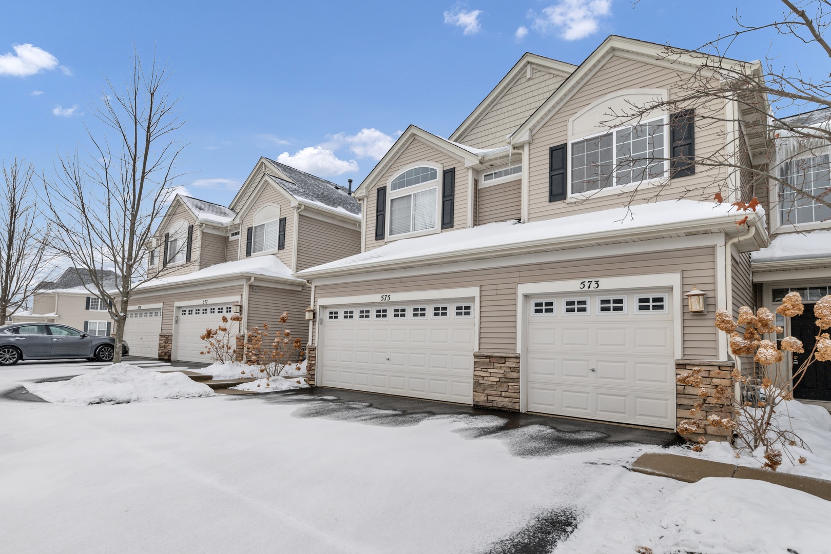 573 Telluride Drive, Gilberts, IL 60136