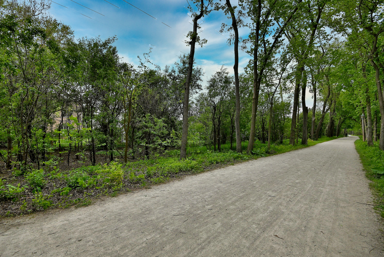 281 E Vallette Street, Elmhurst, IL 60126