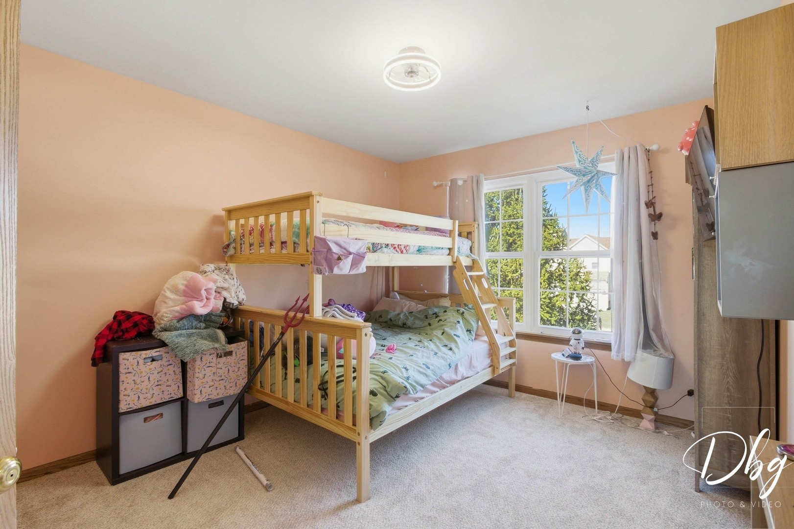 67 W Dahlia Lane, Round Lake Beach, IL 60073