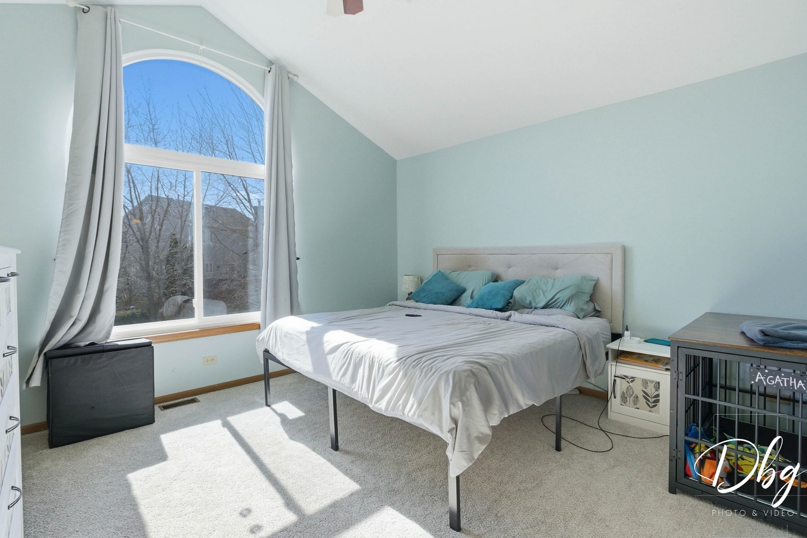 67 W Dahlia Lane, Round Lake Beach, IL 60073