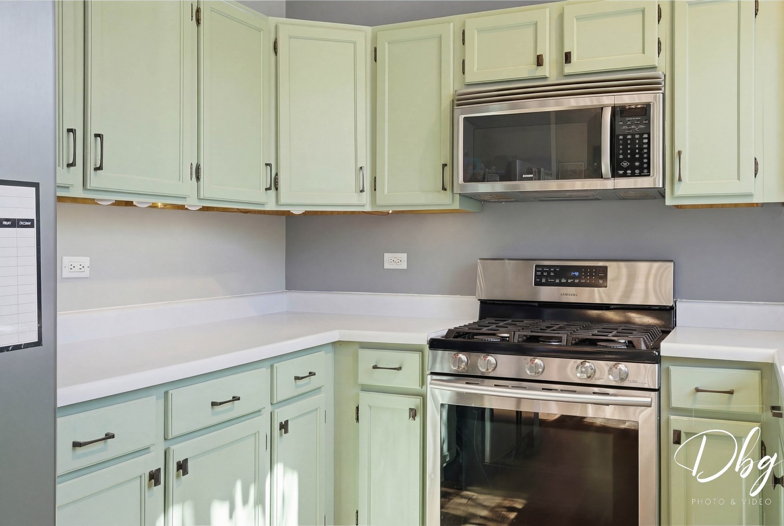 67 W Dahlia Lane, Round Lake Beach, IL 60073