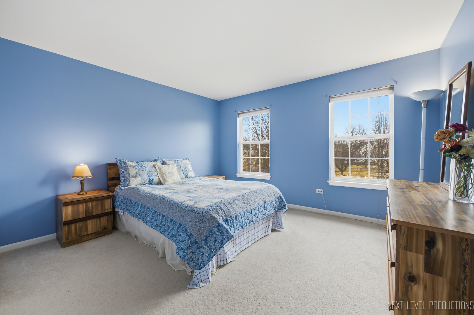 3339 Timber Creek Lane, Naperville, IL 60565