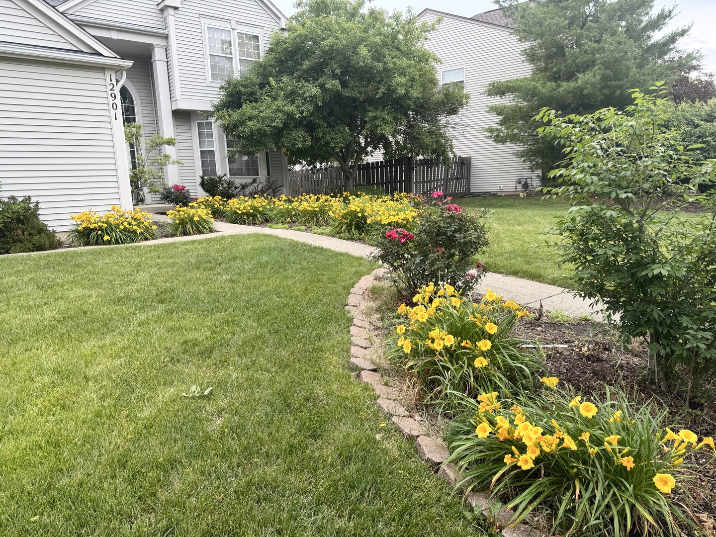 12901 Norwich Street, Plainfield, IL 60585